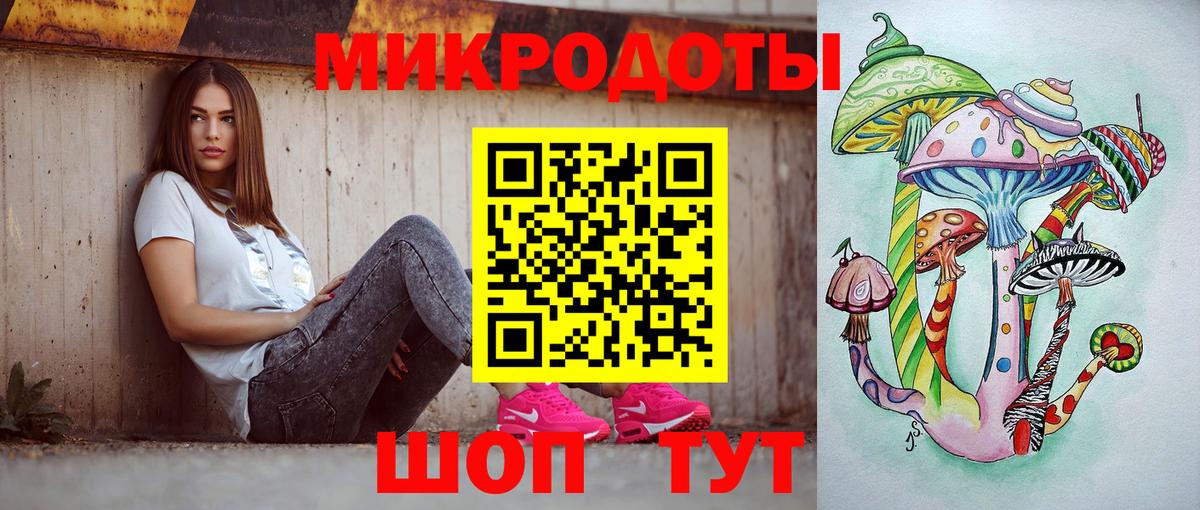Псилоцибиновые грибы Psilocybine cubensis Осинники